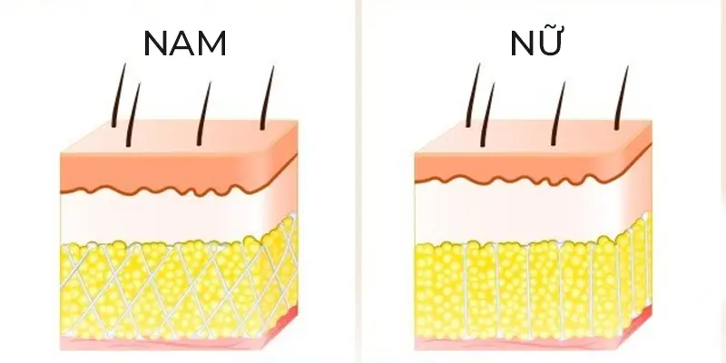 Da mặt nam giới khác nữ giới thế nào? cách làm trẻ hóa da mặt cho nam